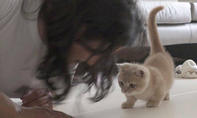 '나혼산' 임우일/MBC