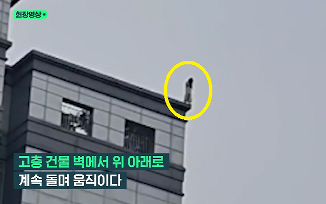 2일 오후 1시 35분쯤 서울 강남구 역삼동 소재 19층짜리 오피스텔에서 여성 1명이 투신을 시도한다는 신고가 접수돼 소방당국이 구조에 나섰다. 여성(원 안)이 투신을 시도하는 모습. [SBS 갈무리]