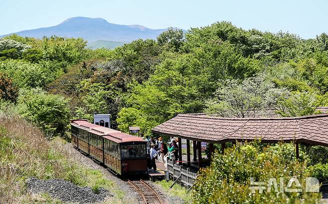 [제주=뉴시스] 우장호 기자 = 어린이날을 사흘 앞둔 2일 제주시 조천읍 에코랜드 테마파크에서 가족단위 관람객들이 기차에서 내려 라벤더팜으로 향하고 있다. 2025.05.02. woo1223@newsis.com