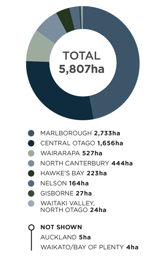 뉴질랜드 피노누아 산지별 현황. 협회