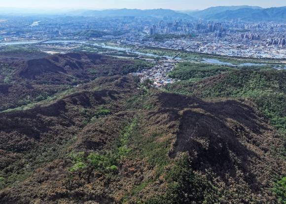 도심 위협했던 산불 흔적 - 2일 대구 북구 함지산 산림 일부가 지난 28일 발생한 대형 산불로 검게 탄 모습을 보이고 있다. 2025.5.2. 연합뉴스
