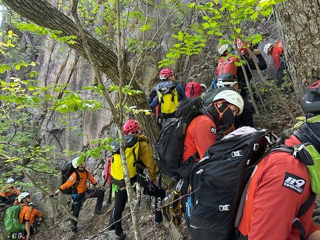 암벽 구조훈련 실시하는 환동해특수대응단 [강원특별자치도소방본부 환동해특수대응단 제공. 재판매 및 DB 금지]