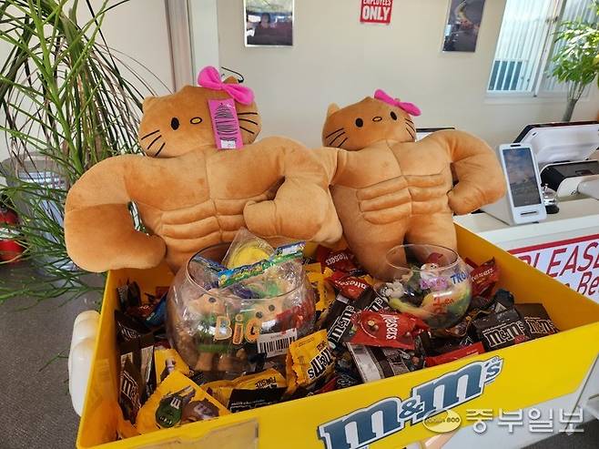 용인 올드타운로드에 다양한 미국 굿즈들이 판매되고 있다. 이보현 기자