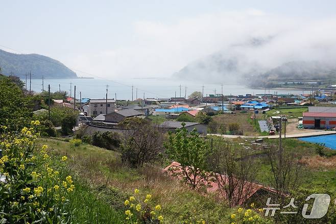 바다가 내륙으로 깊숙이 들어와 '골기미'라고도 부르는 읍구마을 풍경. 밀물이 마을로 해무를 보내 안부를 살핀다. 2025.5.2/뉴스1 ⓒ News1 조영석 기자