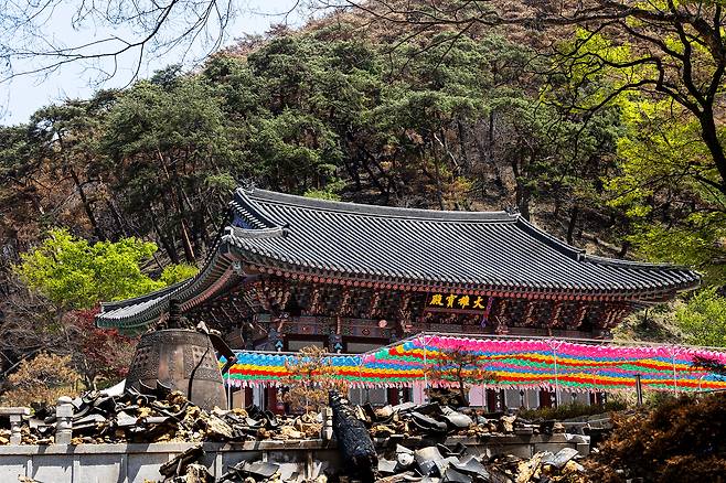 지난 23일 찾은 '고운사' 경내엔 전소된 '가운루' 등 전각이 돌무더기가 되어 쌓여있었다. 화마에 깨진 범종 뒤쪽 대웅보전 앞엔 새 연등이 걸려있다. / 양수열 영상미디어 기자