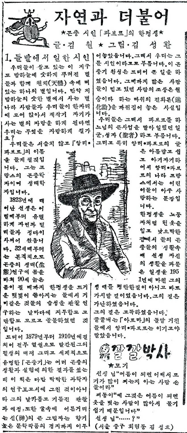 광복 이후에도 파브르의 인기는 여전했다.  조선일보는 1956년 6월11~28일 '자연과 더불어'란 제목아래 파브르 일대기를 17회 연재했다. 사진은 첫회가 실린 조선일보 6월11일자.