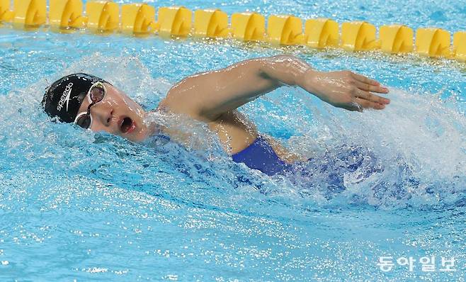 서울체고 송재윤이 2일 경북 김천실내수영장에서 열린 제97회 동아수영대회 여자 고등부 계영 800m에 3번 영자로 역영해 팀 금메달 획득에 힘을 보탰다. 송재윤은 배영 200m와 계영 400m, 배영 50m까지 4관왕에 올랐다. 김천=변영욱 기자 cut@donga.com