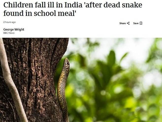 /사진=BBC 갈무리