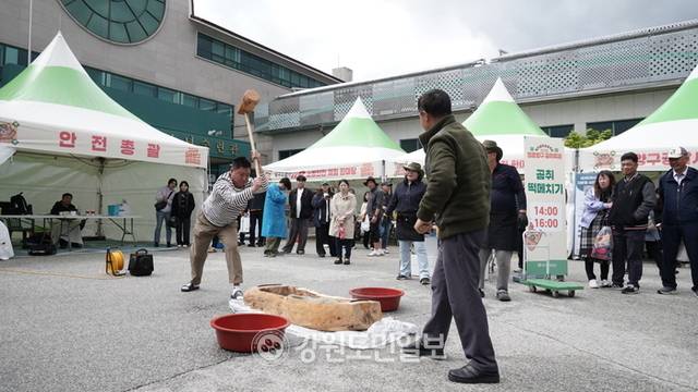 ▲ 3일 오후 2시쯤 ‘2025 청춘양구 곰취 축제’가 열리는 양구 서천레포츠 공원 양구곰취 푸드 체험존에서 곰취 떡메치기 체험이 진행되고 있다. 박재혁 기자