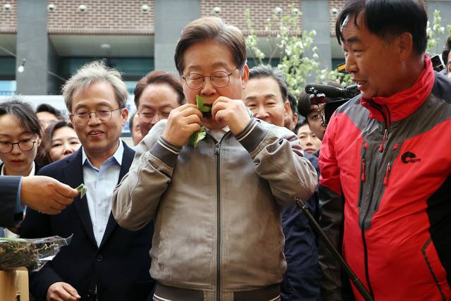 더불어민주당 이재명 대선 후보가 ‘골목골목 경청투어’ 사흘째인 3일 강원도 태백시 장성동 산나물 축제장을 찾아 지역 특산물인 생 어수리 나물을 맛보고 있다.  연합뉴스