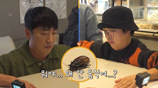 채널S, SK브로드밴드, K·star, NXT 제공