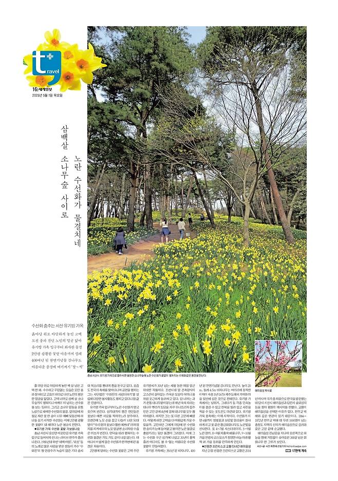 세계일보 여행면. 편집=김창환 기자