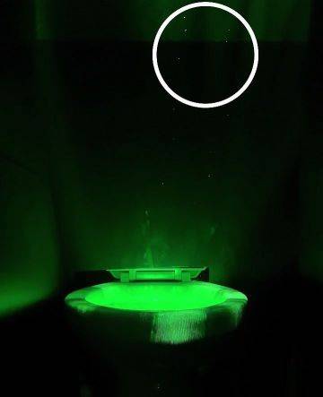 사진 제공=유한킴벌리