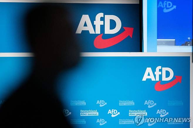 AfD [AFP 연합뉴스 자료사진. 재판매 및 DB 금지]