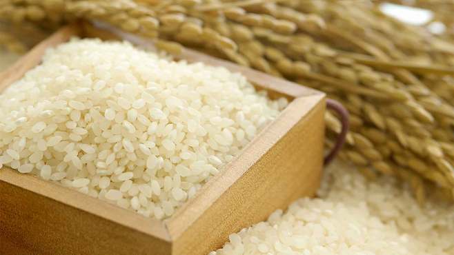 사진출처 : 클립아트코리아