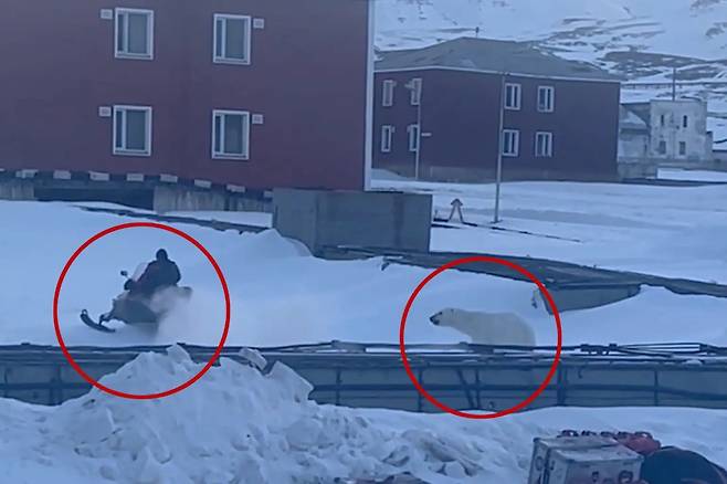 돌진하는 북극곰을 피해 달아나는 남성./유튜브