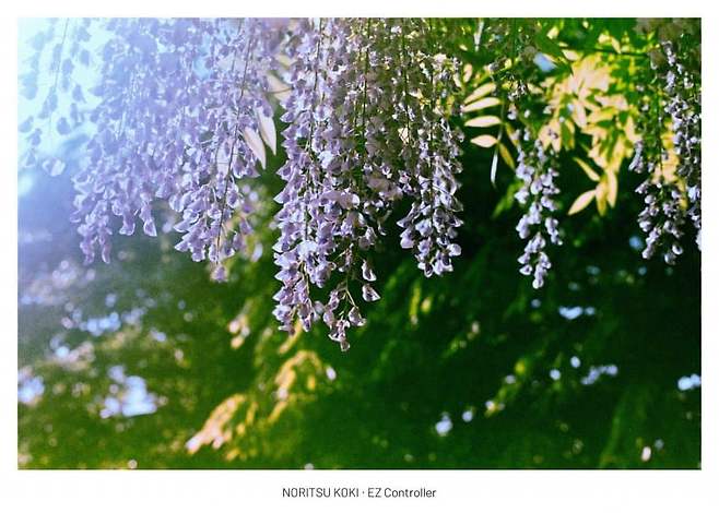 7e9b8576b4f36dfe23e885e1329c701f0d95c195a14e6a711bab7c41ee0151b3501e8b2d342dd209cadd0622ff6989001a3d3c4594