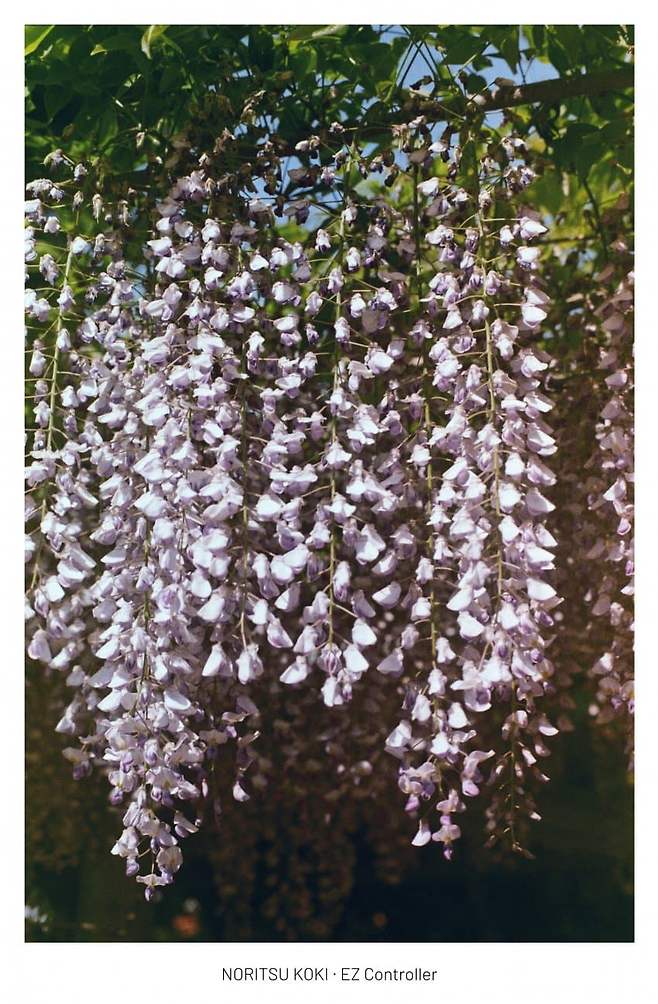 0bed8072b4806eff239e87ec339c706d9bc645abee5c3504aba8a4a9fb8eda2f67cc1ea8081ab087e4c32b73e9690d4bd51f9943cb