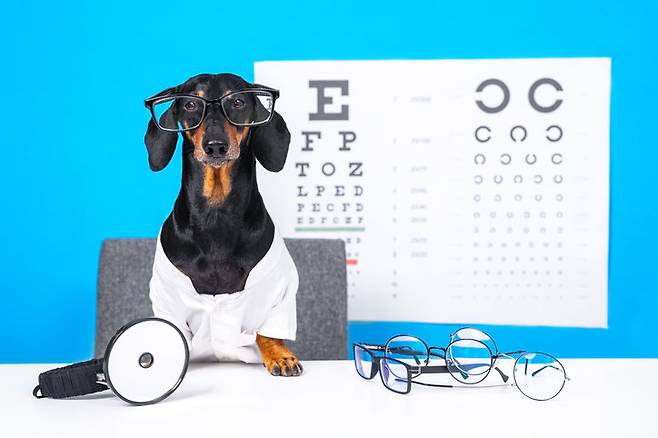 게티이미지뱅크.