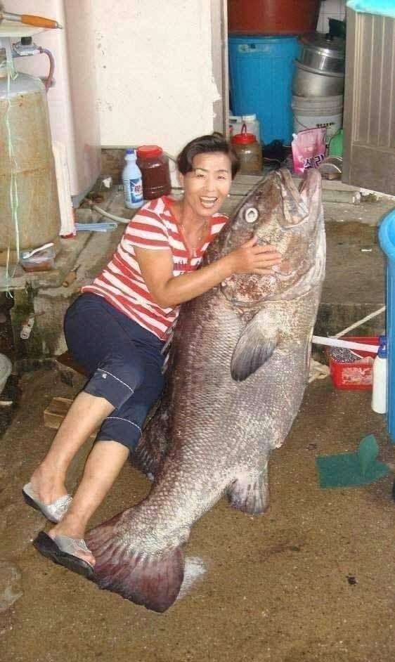 대물 사이즈 큰돔 들고 누워있는 여자