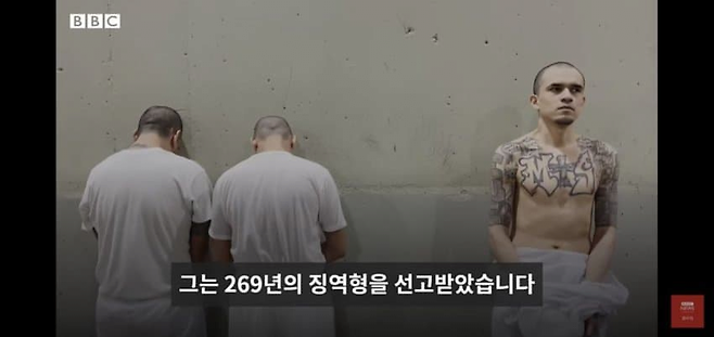 image.png 엘살바도르 초대형 교도소 \'세코트\'