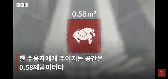 image.png 엘살바도르 초대형 교도소 \'세코트\'