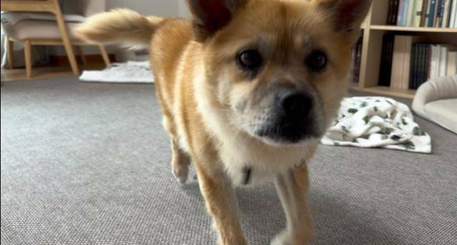 지난 9일 자택에서 만난 오층이는 낯선 사람을 만나도 주저하지 않고 인사를 건넸다. 동그람이 정진욱