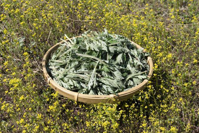 ⓒ게티이미지뱅크