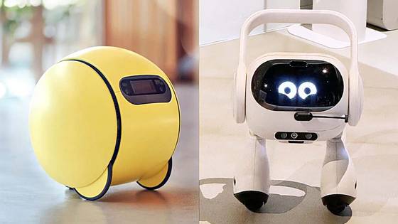 인공지능(AI) 로봇인 삼성전자 볼리(왼쪽)와 LG전자 Q9. 라스베이거스=고석현 기자