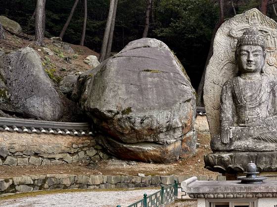 경주 동남산 보리사에는 절 담장을 슬금슬금 넘어오는 바위가 있다. 복을 가져온다는 거북바위다. 보물로 지정된 미륵곡 석조여래좌상이 그저 미소 짓고 있다. 김홍준 기자