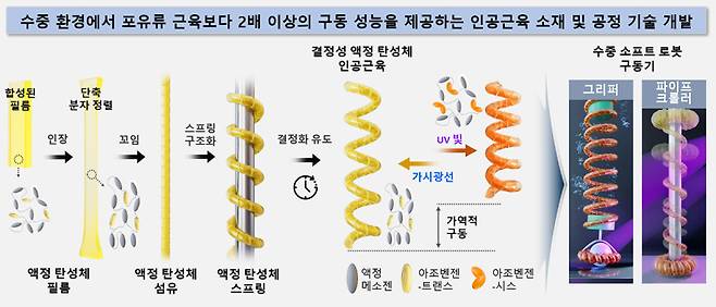 결정성 액정 탄성체 스프링 인공근육 연구 개괄도. 한국화학연구원
