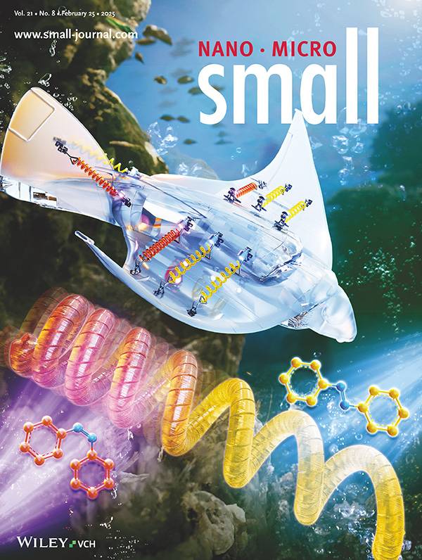 이번 연구성과가 게재된 국제학술지 ‘스몰’ 2월호 후면 표지.[한국화학연구원 제공]