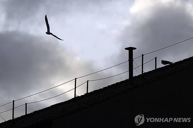 콘클라베 결과를 알릴 시스티나 성당의 굴뚝 [EPA=연합뉴스. 재판매 및 DB 금지]