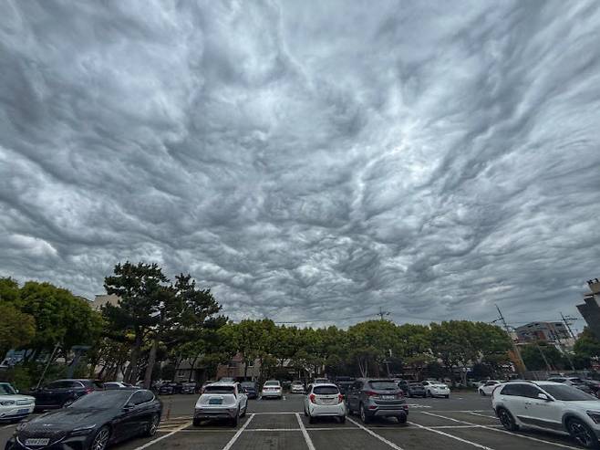 5일 오전 제주도청 하늘에 거친물결구름이 관찰됐다. (사진=뉴시스)