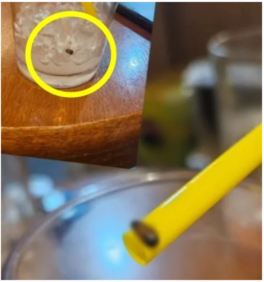 근 5년간 프랜차이즈 커피 브랜드 중 식품위생법 위반 건수가 가장 많았던 브랜드 음료에서 바퀴벌레로 추정되는 이물질이 나왔다. 인스타그램