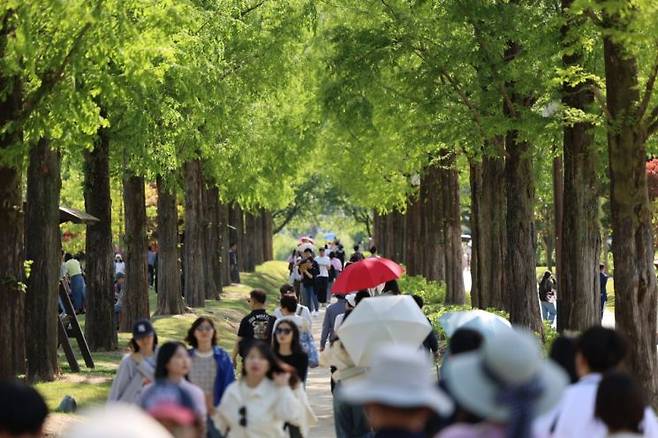 순천만국가정원을 방문한 관람객들. 순천시 제공