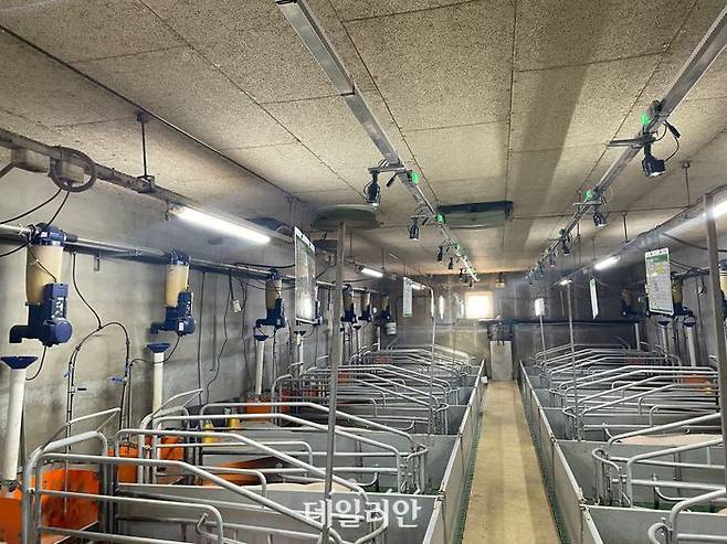 답아이즈 현장 적용 모습. ⓒ엠트리센