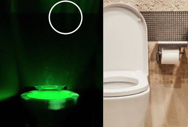 변기 커버를 내리지 않고 물을 내리면 입자가 최대 92㎝ 높이까지 상승해 화장지가 오염될 수 있다. 하얀 동그라미 안에 있는 것이 비말 입자다./사진=유한킴벌리, 게티이미지뱅크​