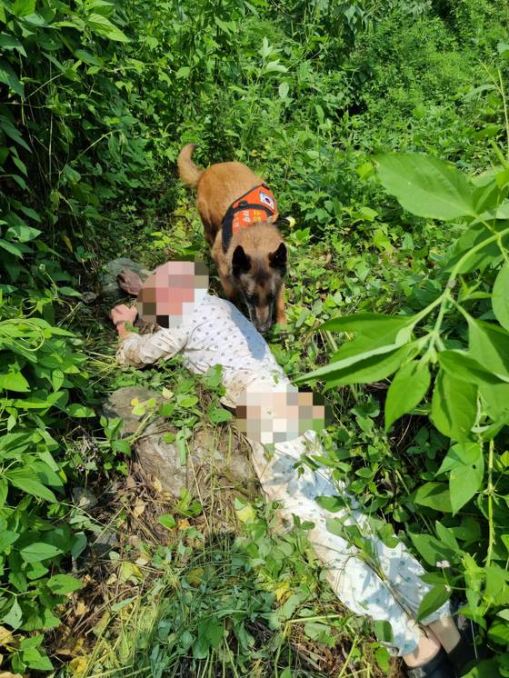 경기북부 소방 119구조견이 지난해 8월 25일 낮 12시6분쯤 경기도 성남시의 한 풀숲에서 실종된 후 쓰러져 있는 중증 치매 횐자인 80대 노인을 발견했다. 사진 경기북부소방재난본부