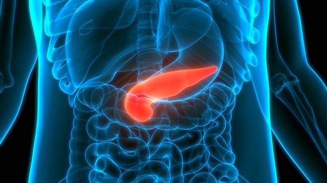 사진= 게티이미지뱅크