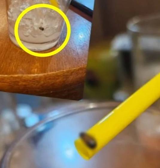 한 프랜차이즈 커피 전문점에서 구입한 음료에서 바퀴벌레로 추정되는 이물질이 나와 논란이다. [인스타그램 캡처]