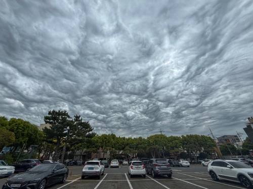 제주 하늘에 나타난 거친물결구름 - 5일 오전 제주도청 하늘에 거친물결구름이 관찰됐다. 구름 속 공기 덩어리 파동이 구름 안에 갇혀서 올라갔다 내려갔다를 반복하게 되는데, 그때 구름 아래가 물결치듯 일렁이게 되는 현상이다. 2025.05.05. 독자 제공·뉴시스