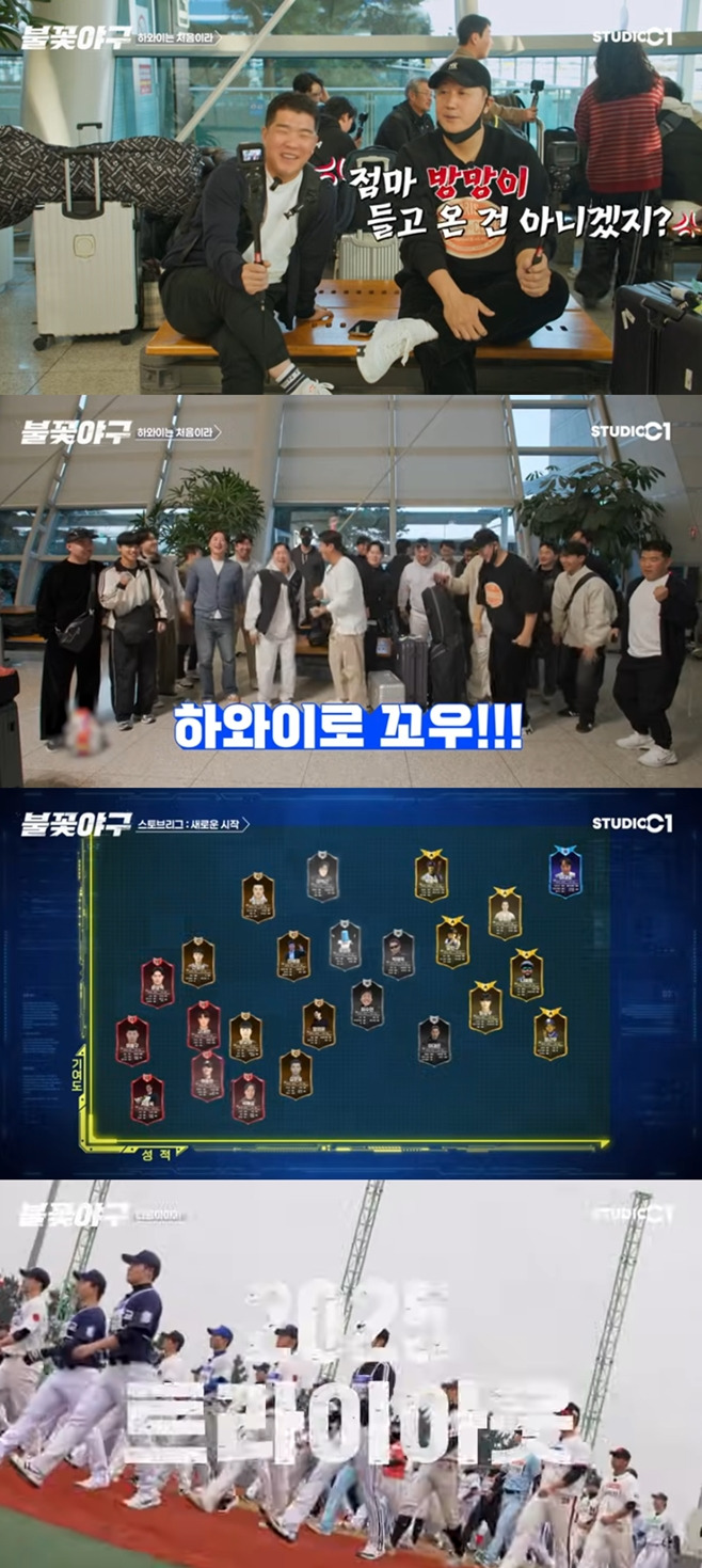 불꽃야구