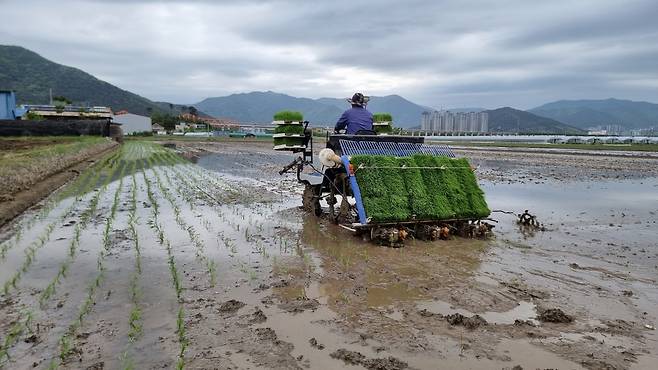 김해시 농지 [김해시 제공. 재판매 및 DB 금지]
