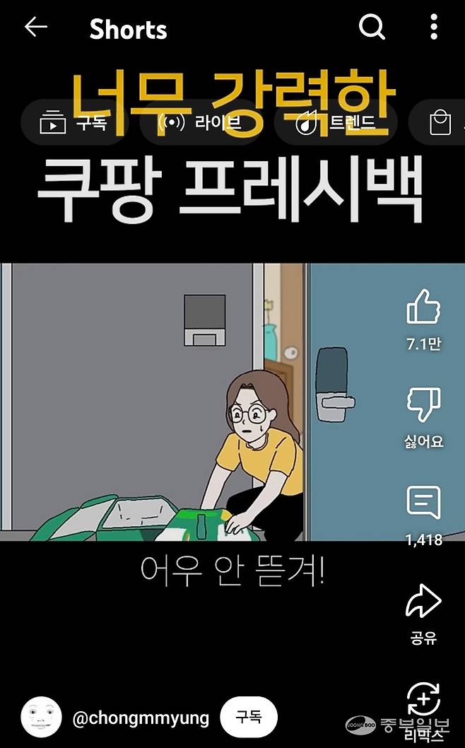 한 유튜버가 올린 '너무 강력한 쿠팡 프레시백' 쇼츠 영상 일부 발췌. 이보현 기자