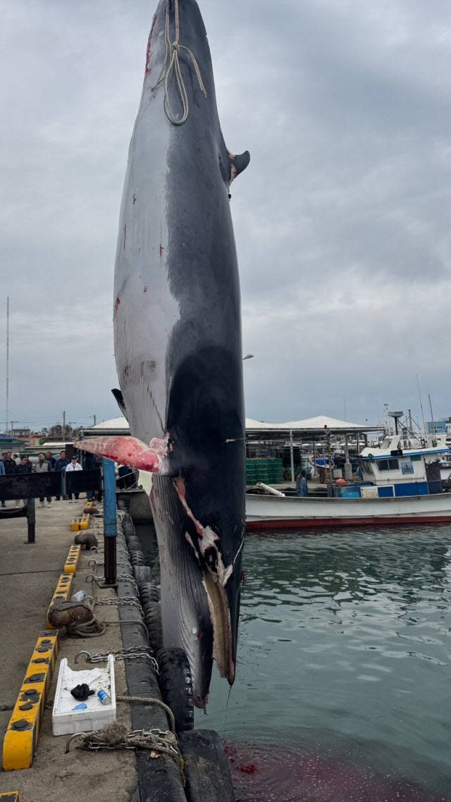 (사진=포항해양경찰서 제공)