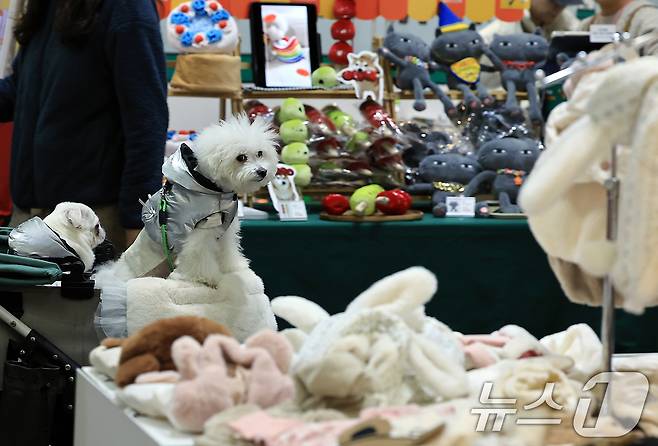 17일 경기도 고양시 일산 킨텍스에서 열린 마이펫페어 2025 일산 Part1을 찾은 반려견이 다양한 반려동물 용품을 살펴보고 있다. (사진은 기사 내용과 무관함) 2025.1.17/뉴스1 ⓒ News1 박정호 기자