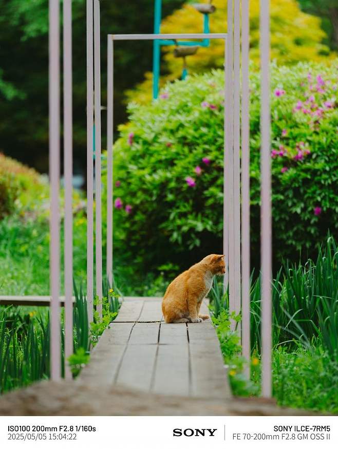 a1592caa1f06b349973334655b83746f7f0e3648cae3eddce5024812df69485a246ea706570a90d19c7d63acc247e3d08d1c