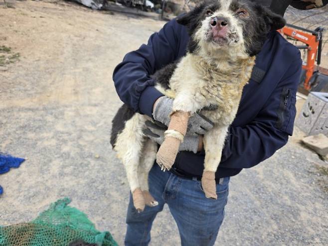 루시의 친구들 제공