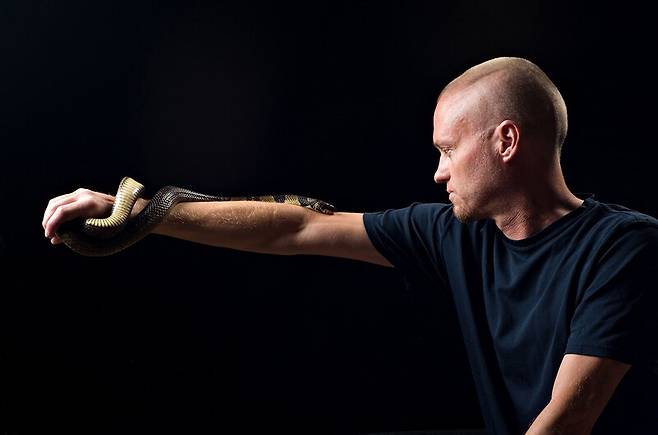 18년간 독사에게 스스로 물리는 실험을 한 미국 트럭정비사 출신 팀 프리드의 몸에 형성된 항체를 이용한 강력한 뱀독 해독제가 개발됐다. 사진 속의 뱀은 물코브라. 센티백스 제공